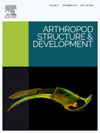 ARTHROPOD STRUCTURE & DEVELOPMENT雜志封面